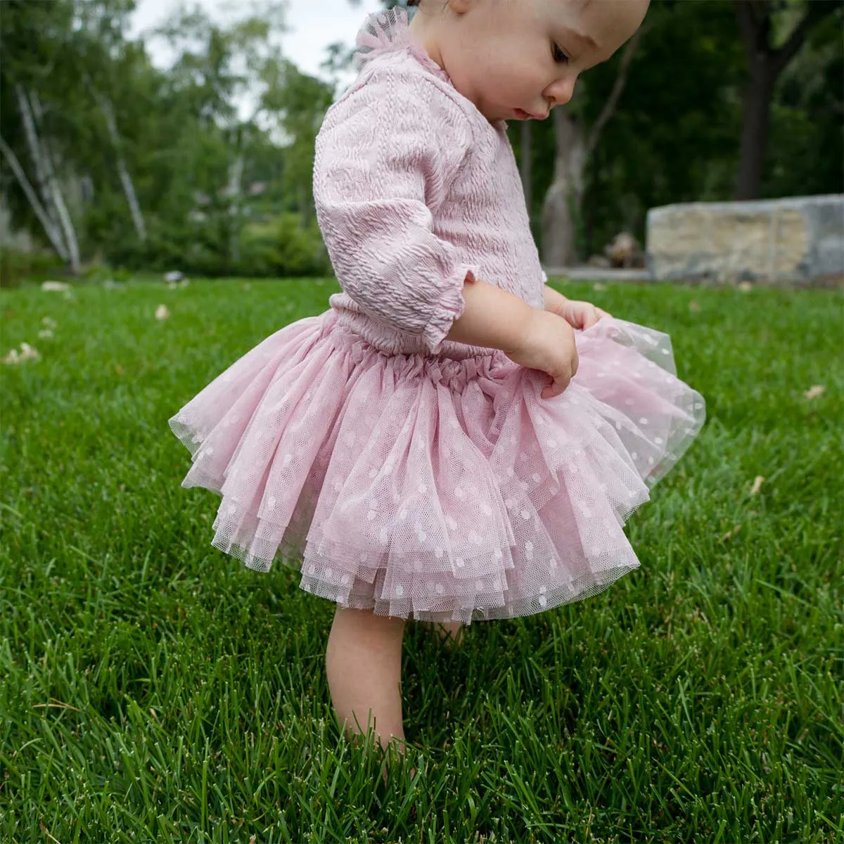 Baby Tutu Skirt - Blush Dotted Mesh Frill