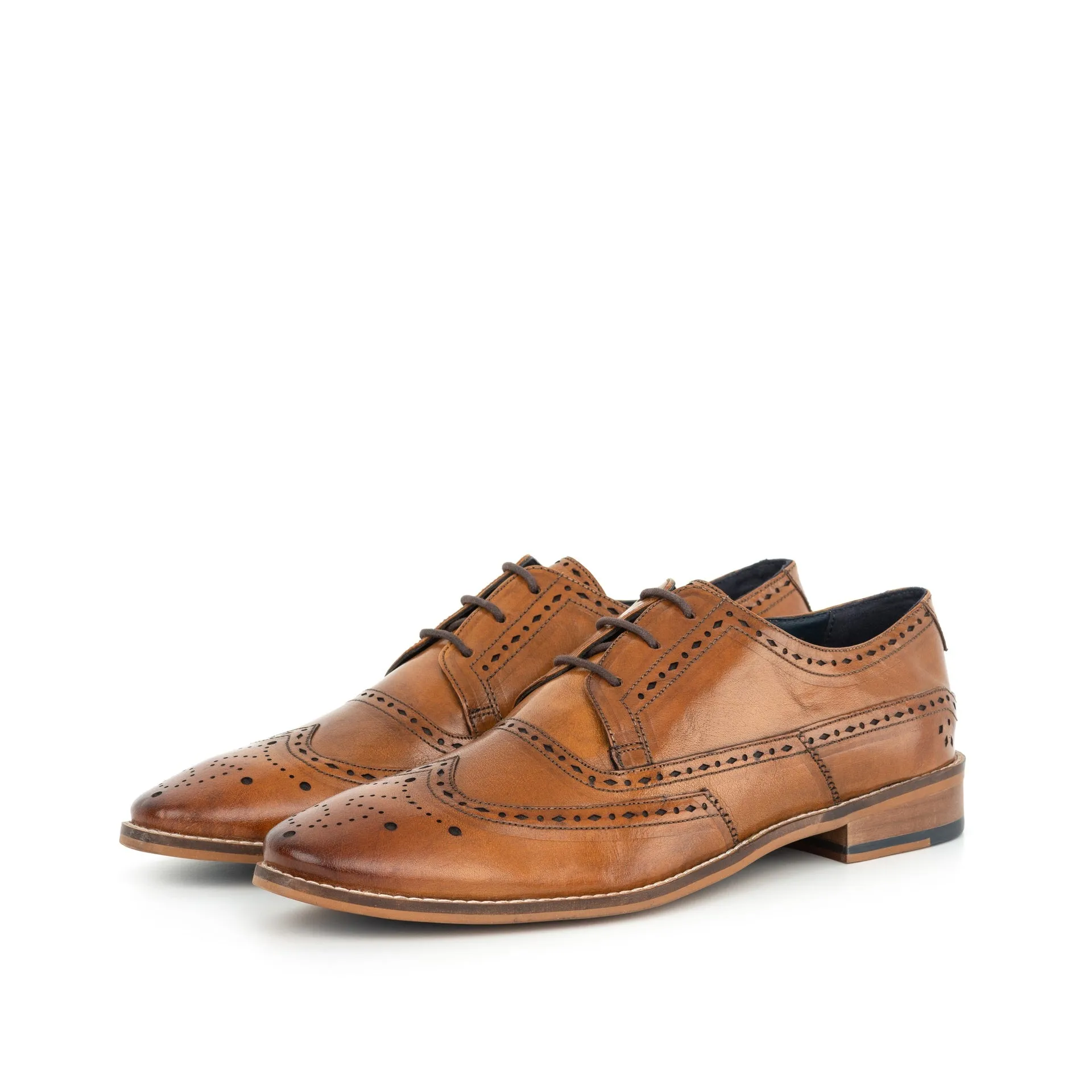 Henry Tan Derby Brogue - Buy Online | Best Quality | Stylish Designs | Affordable Prices | Limited Stock