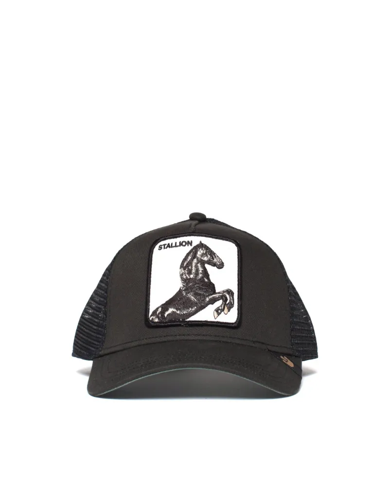 Stallion Baseball Hat