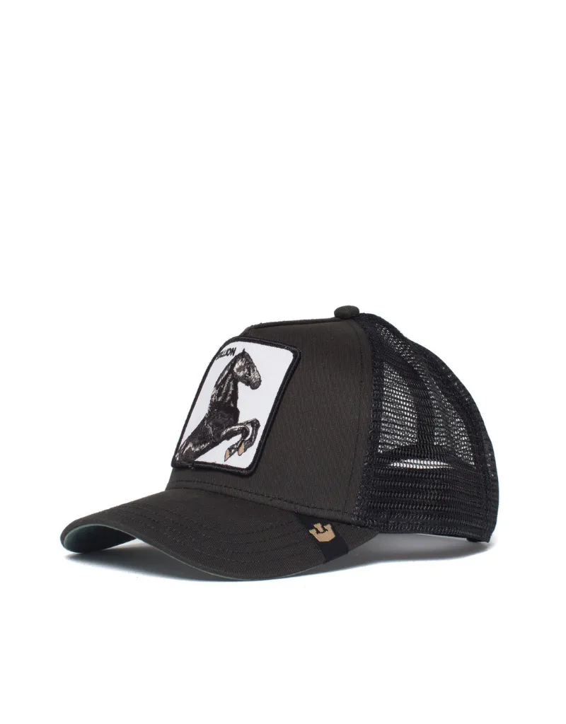 Stallion Baseball Hat