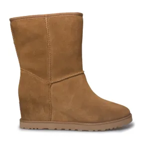 UGG short chestnut boots for women